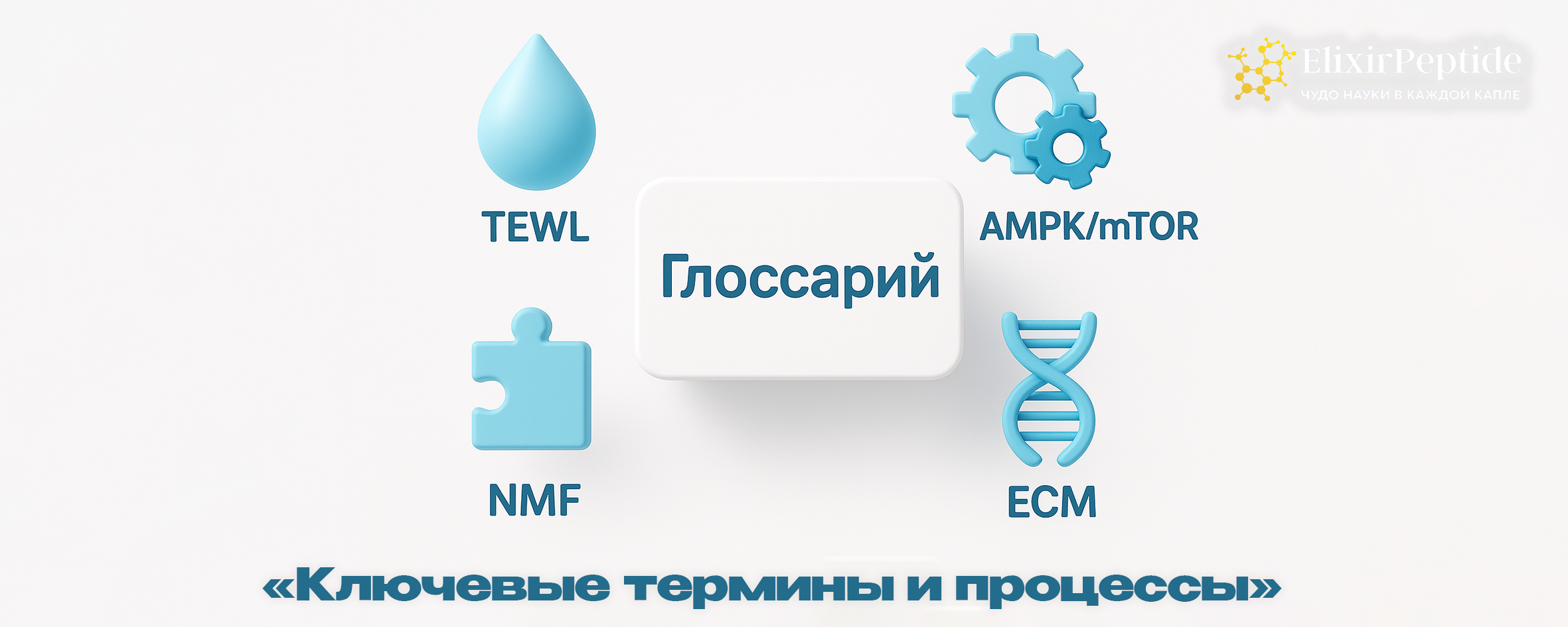 Ключевые термины и процессы