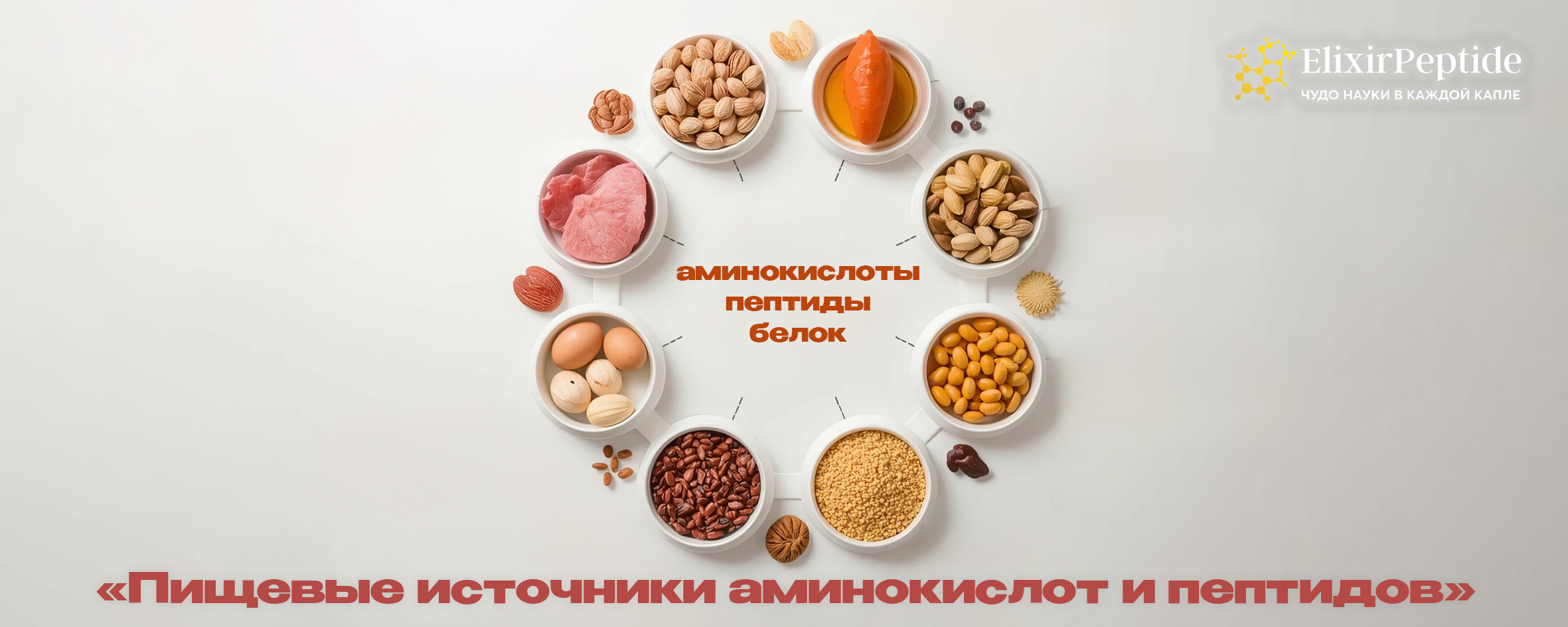 Пищевые источники аминокислот и пептидов