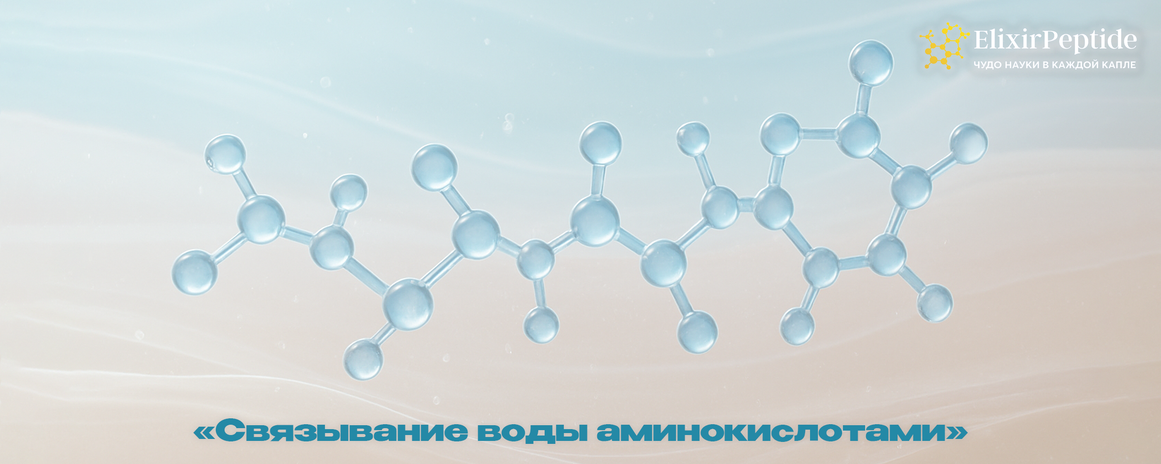 Связывание воды аминокислотами