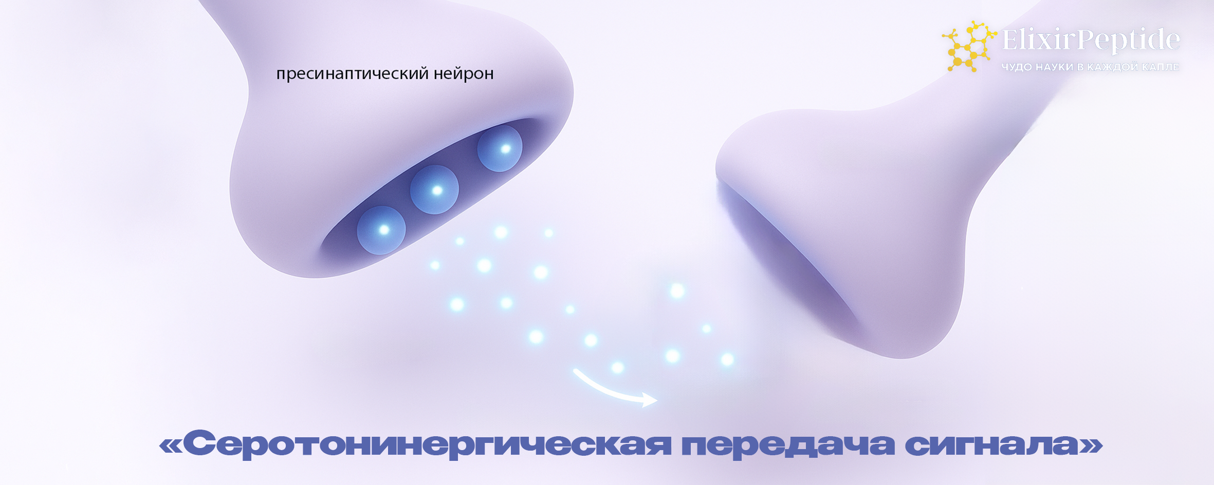 Серотонинергическая передача сигнала