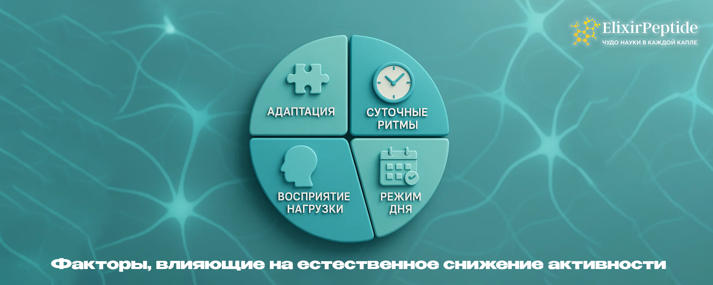 Факторы, влияющие на естественное снижение активности кортизола