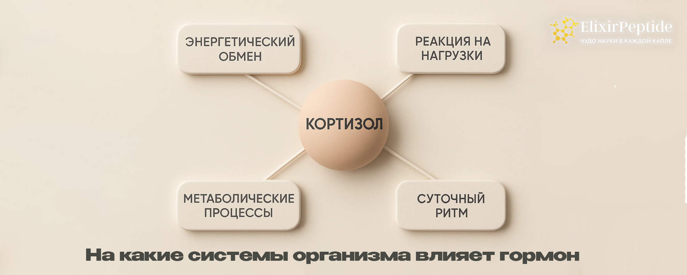 На какие системы организма влияет гормон