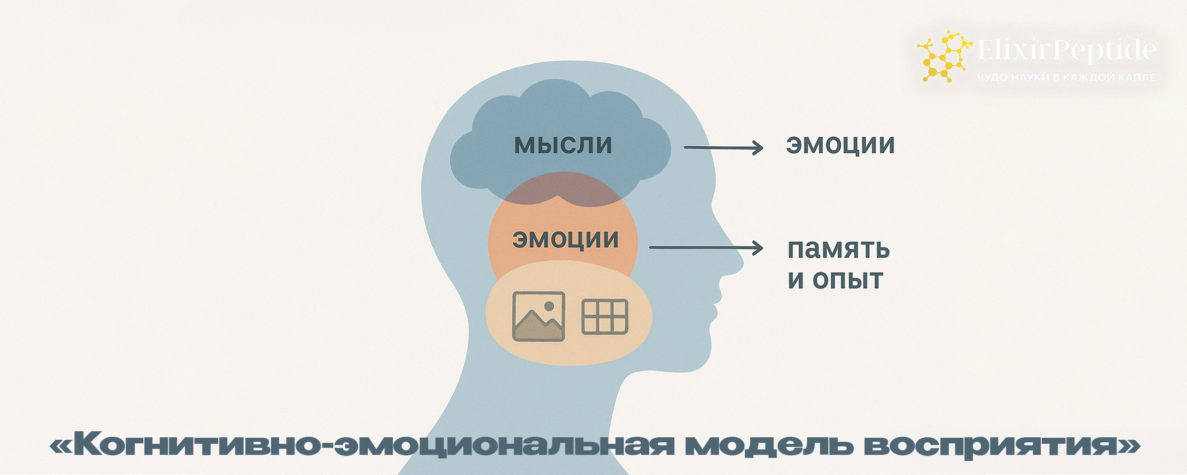 Когнитивно-эмоциональная модель восприятия