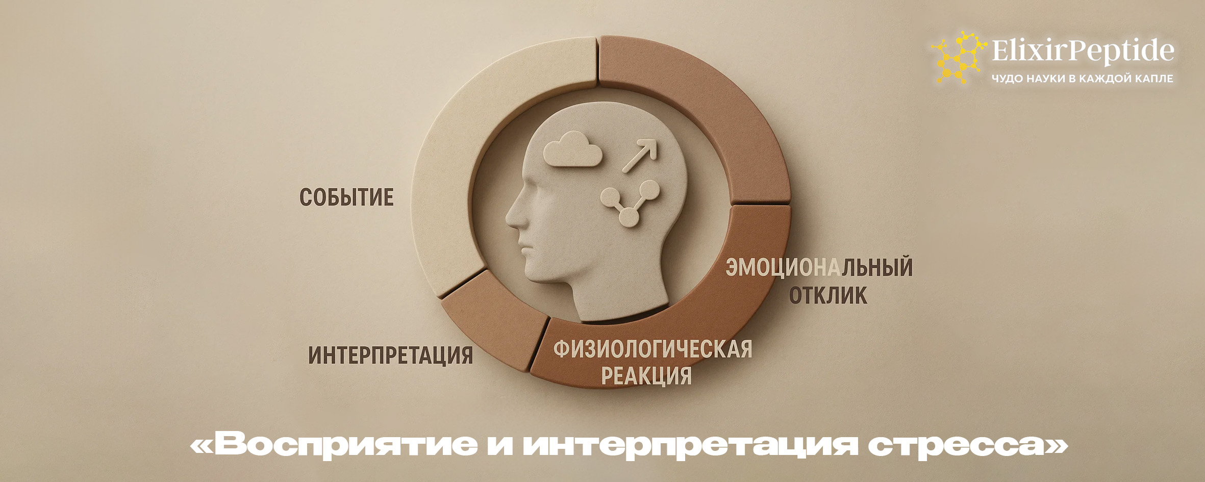 Внешние факторы → внутренний отклик