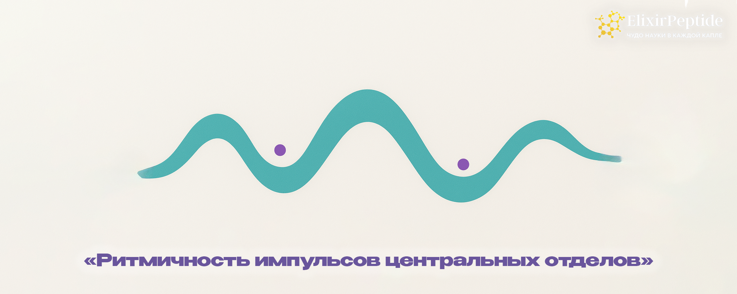 Плавная волнообразная линия, визуализирующая ритмичность гормональных сигналов центральной регуляции.
