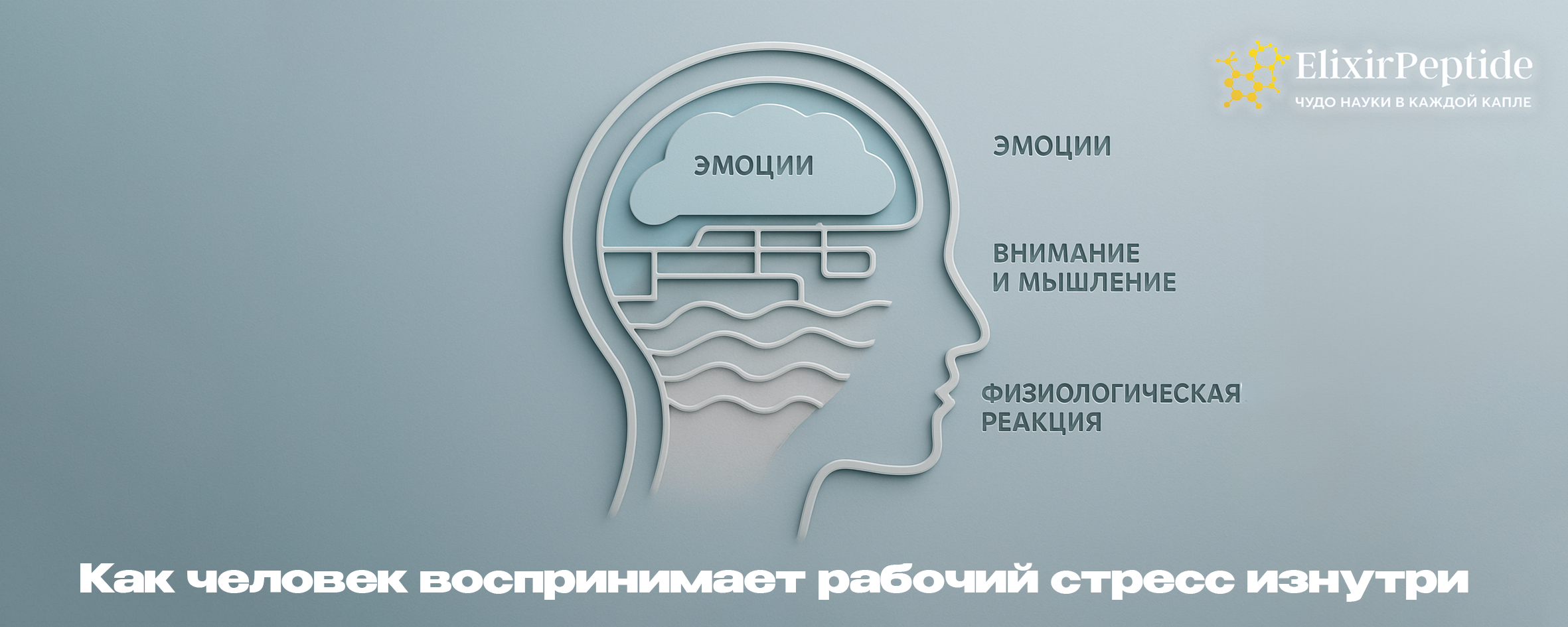 Как человек воспринимает рабочий стресс изнутри