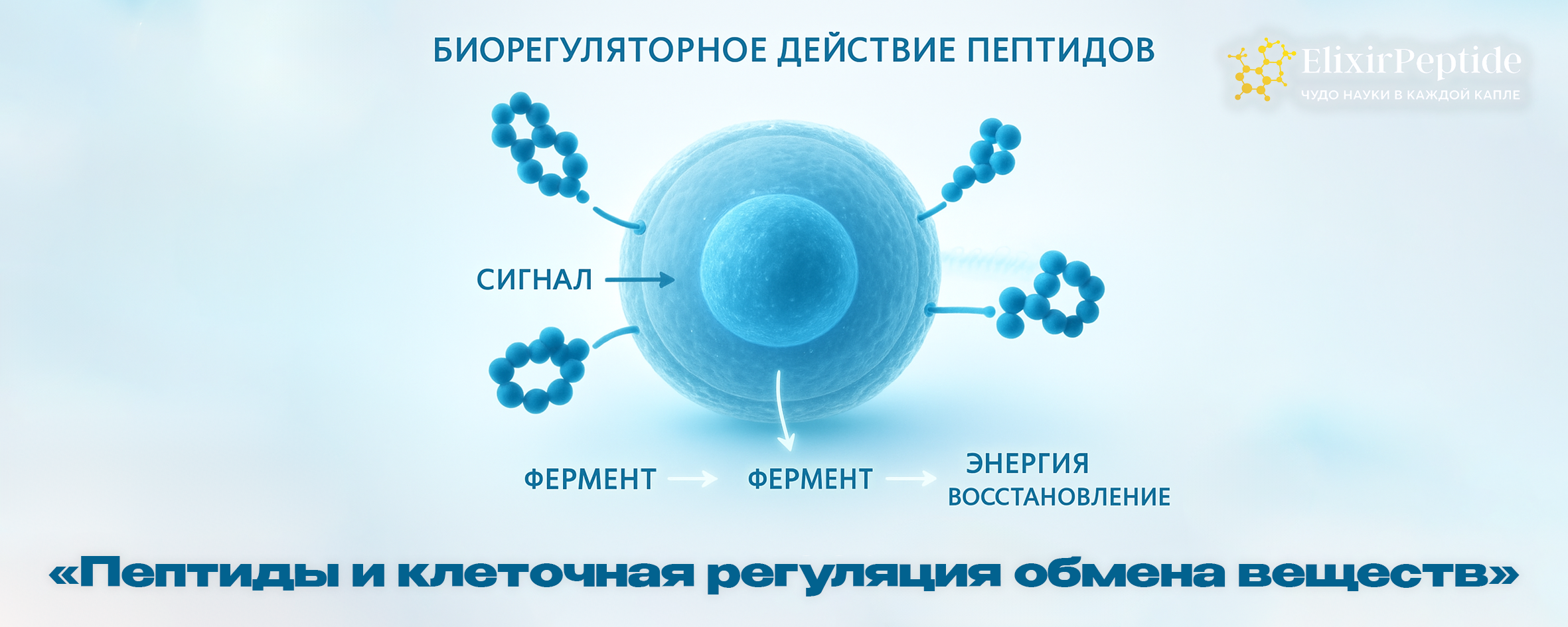 Пептиды и клеточная регуляция обмена веществ