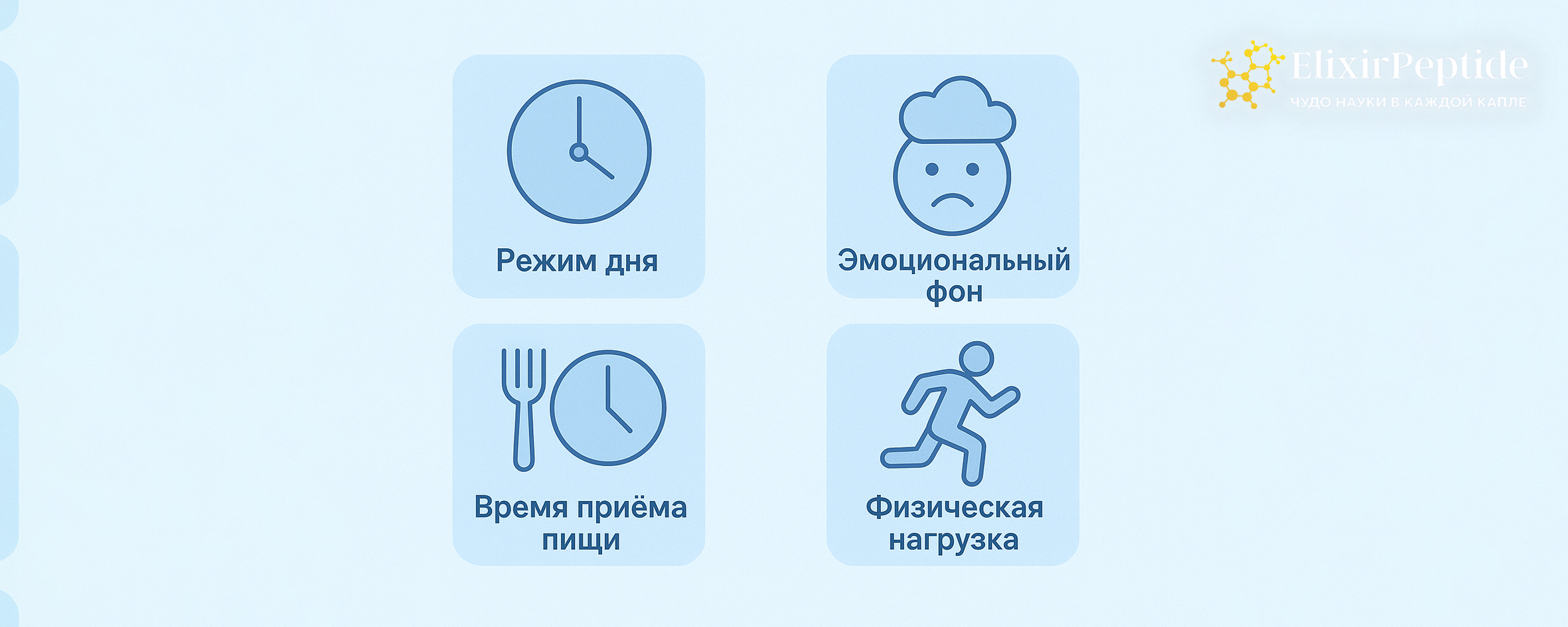 Схема факторов, влияющих на пищеварение: режим, эмоциональный фон, время приёма пищи и нагрузка.