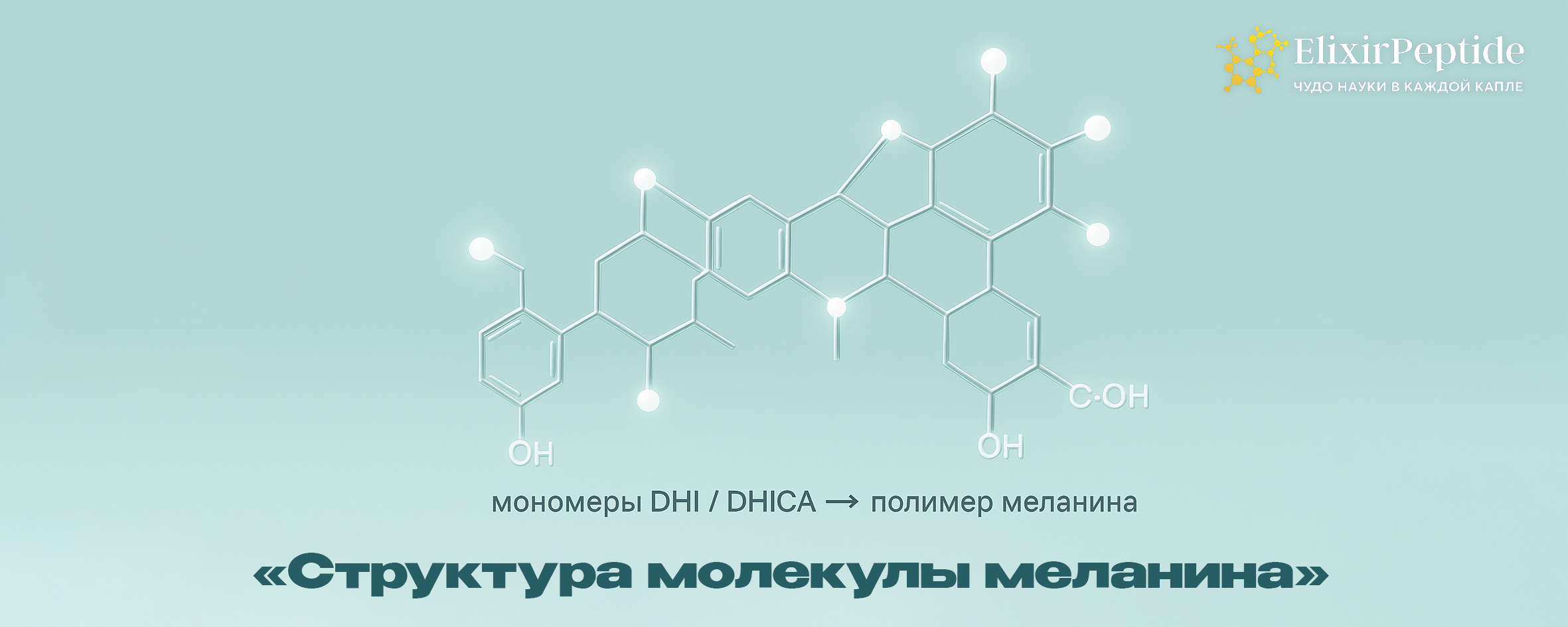 Структура молекулы меланина