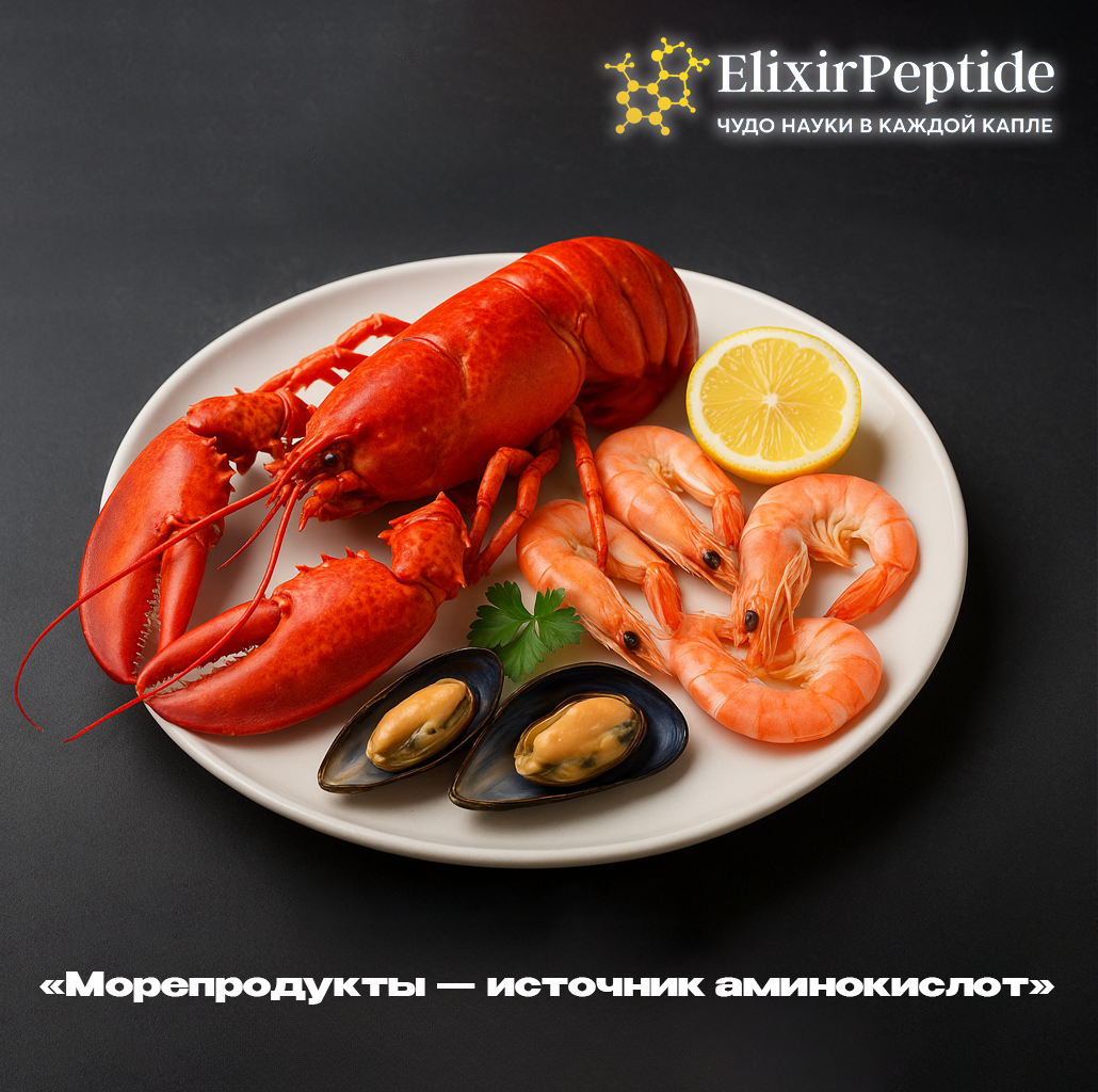 Морепродукты — источник аминокислот