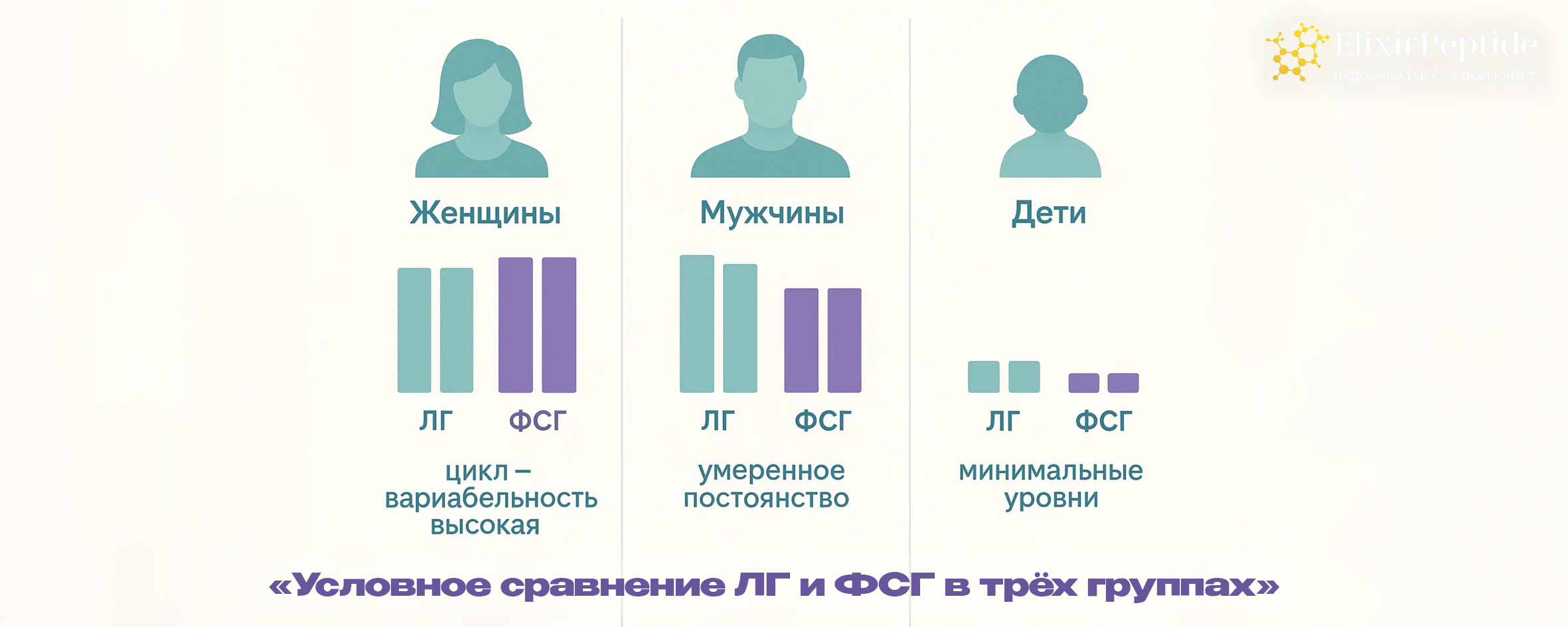Условное сравнение ЛГ и ФСГ в трёх группах