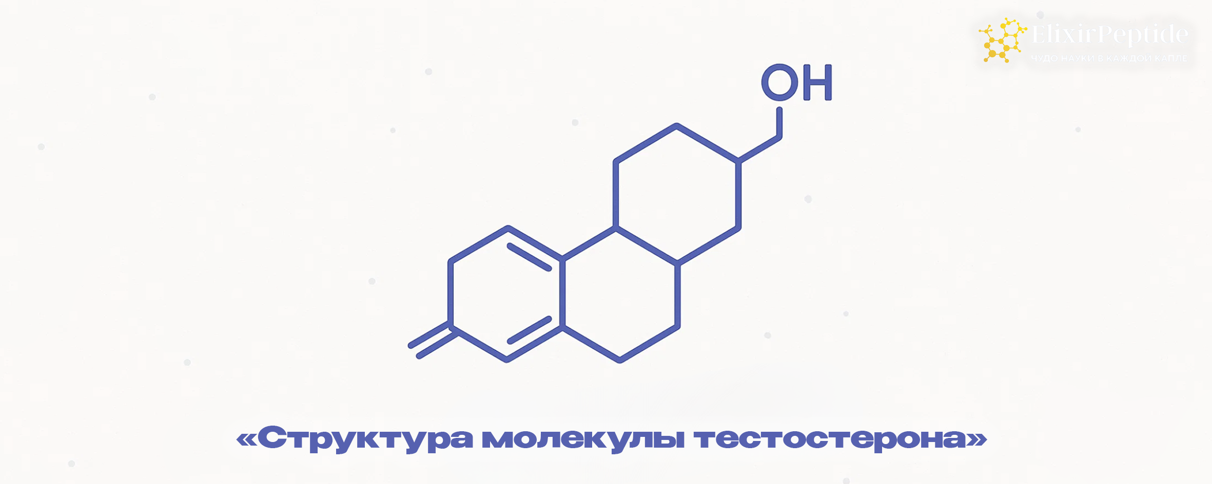 Структура молекулы тестостерона